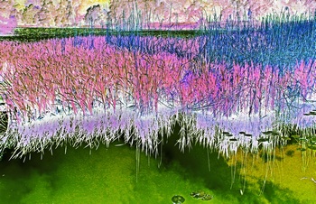 L 063B